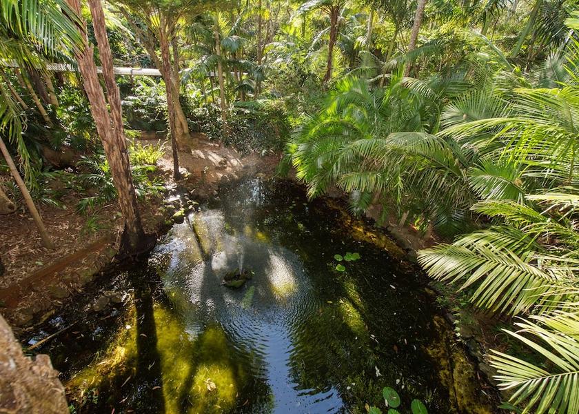 Queensland Tamborine Mountain Property grounds