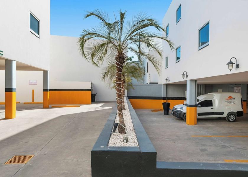 Sinaloa Culiacán Garden