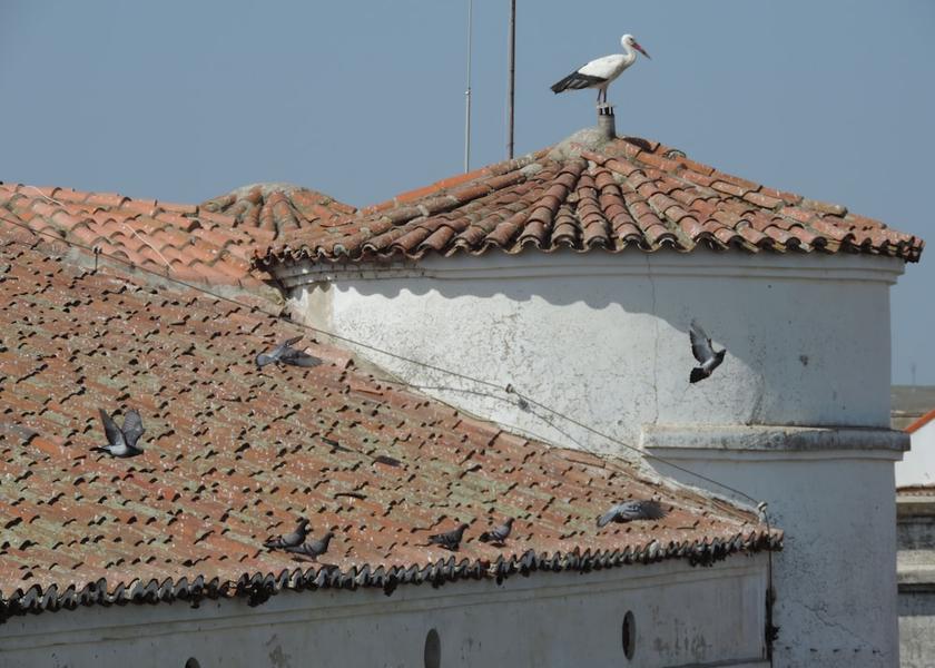Extremadura Casar de Caceres View from property