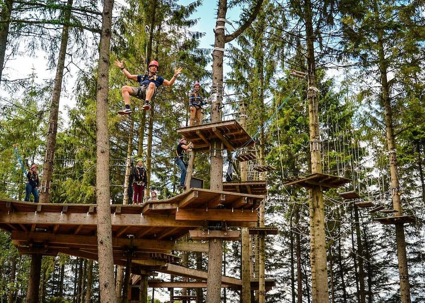 Ropes Course (Team Building)