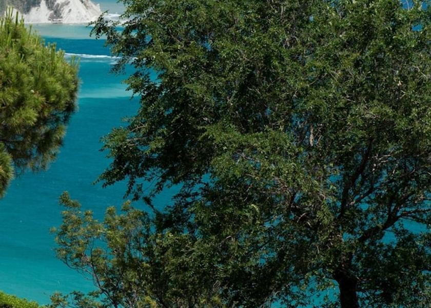 Marche Ancona Property Grounds