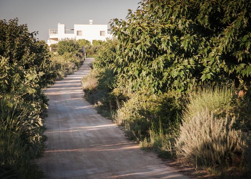 Puglia Carpignano Salentino View from Property