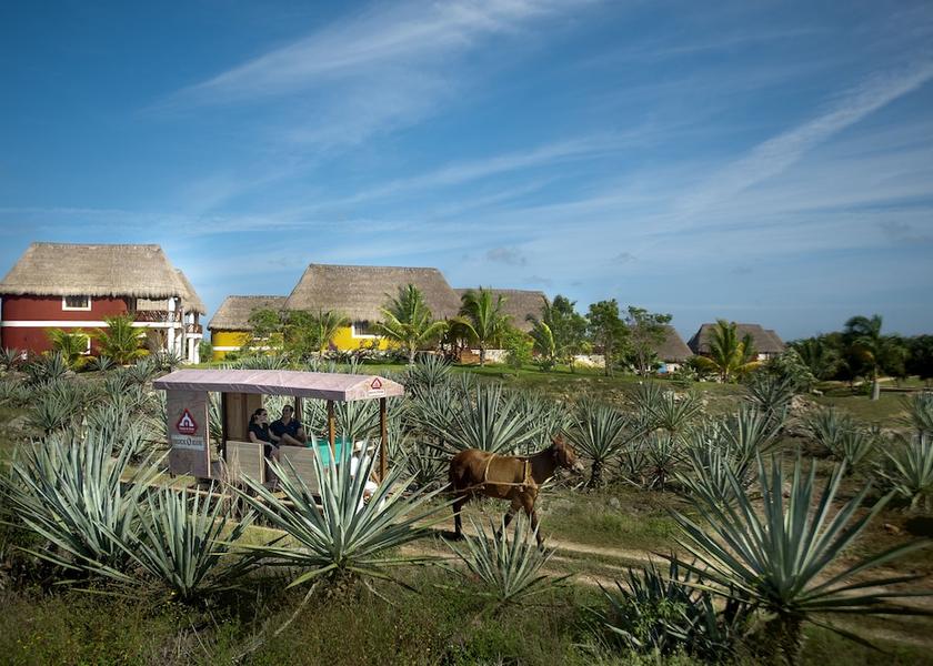 Yucatán Timucuy View from Property
