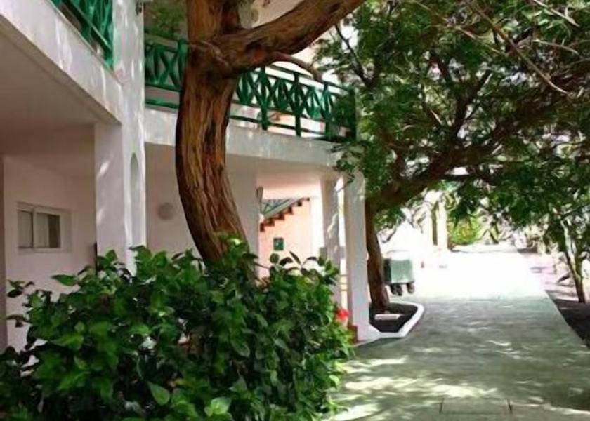 Canary Islands Teguise Terrace