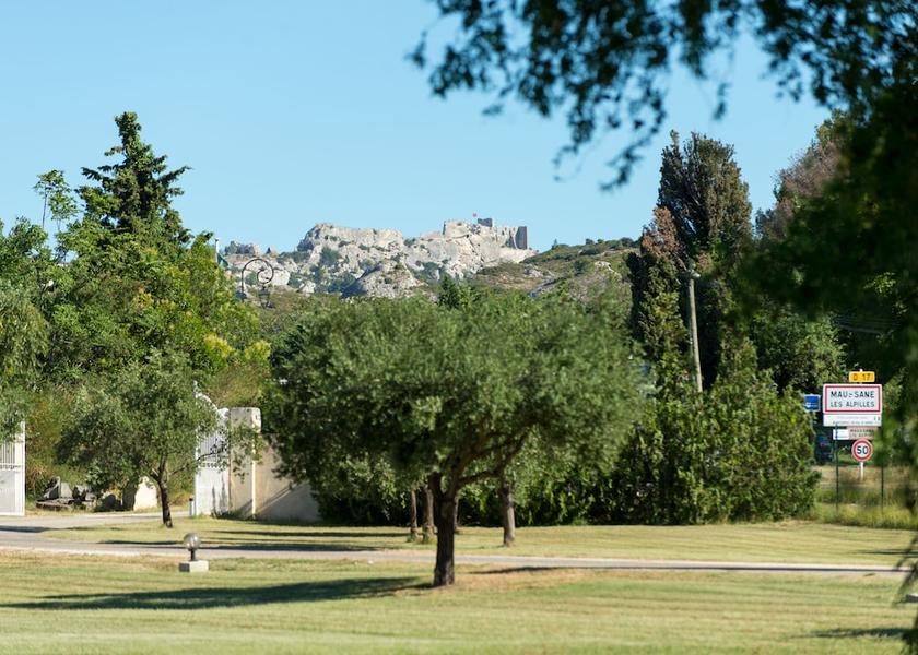 Provence-Alpes-Côte d'Azur Maussane-les-Alpilles Garden