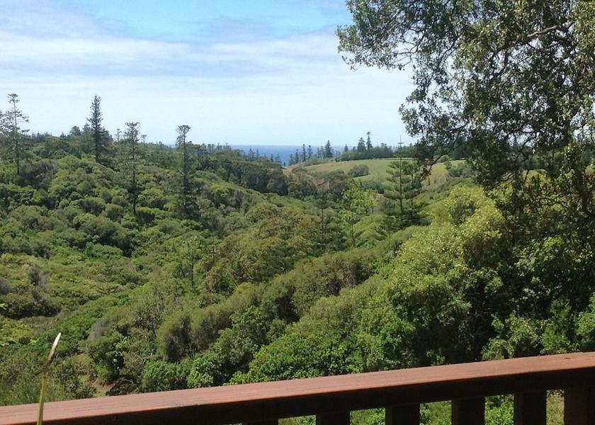  Norfolk Island View from property
