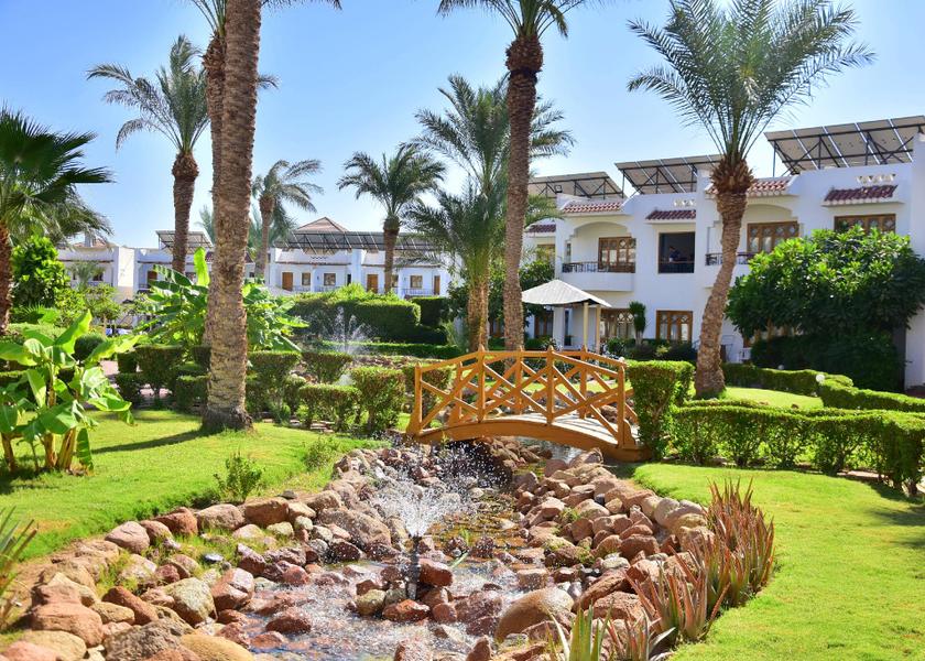 South Sinai Governorate Sharm El Sheikh Bed
