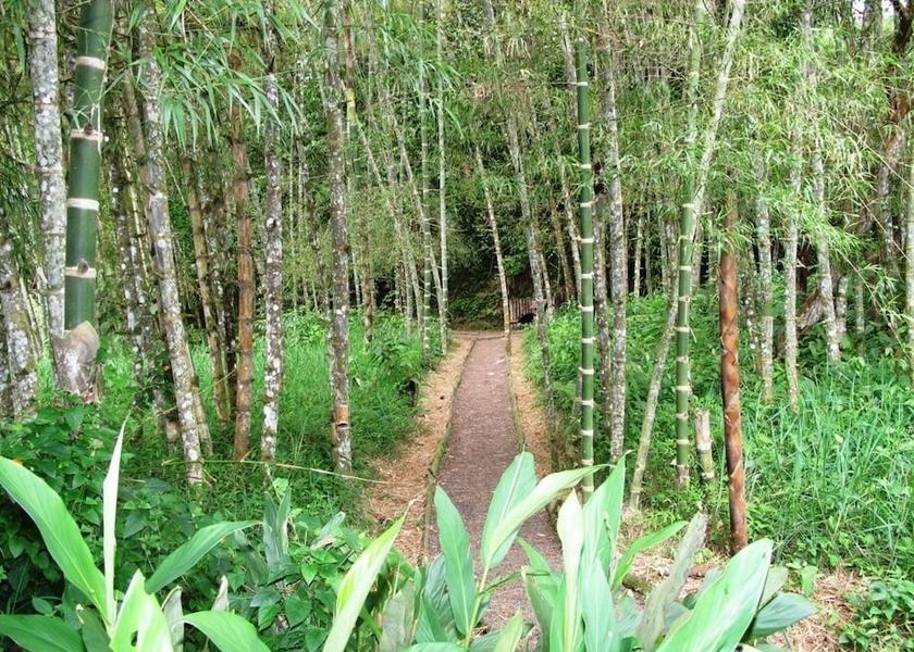  Nanegalito Property Grounds