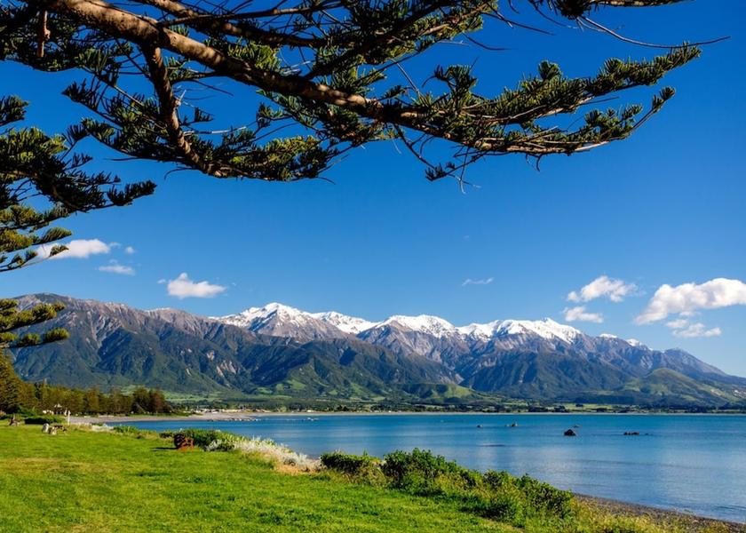 Canterbury Kaikōura Beach