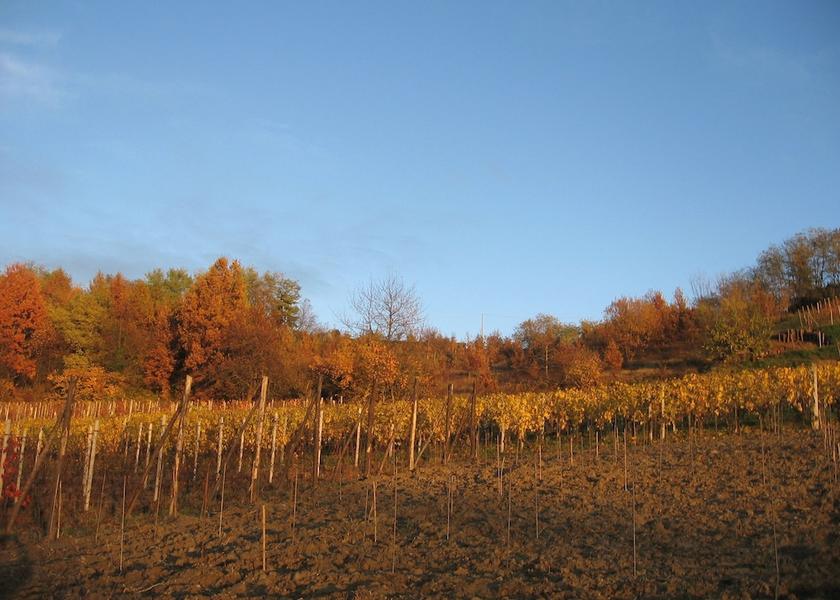 Piedmont Rocca Grimalda Property Grounds