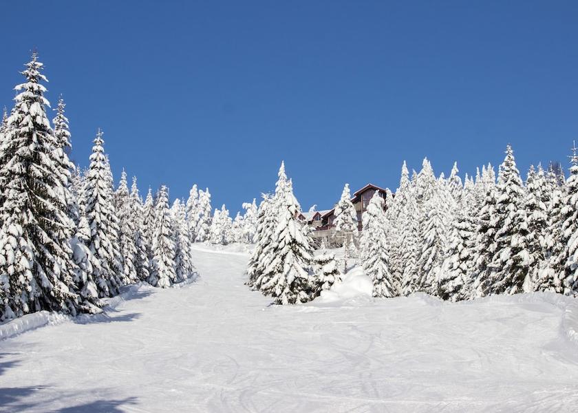 Dalarna County Borlange Snow and ski sports