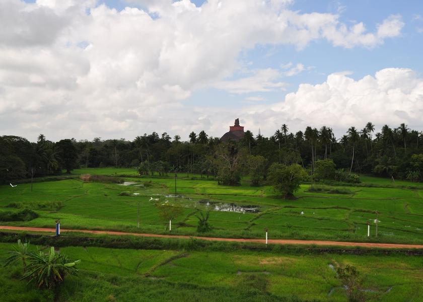 Anuradhapura District Anuradhapura View from Property