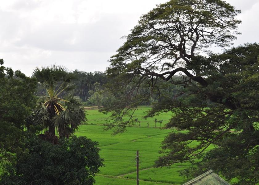 Anuradhapura District Anuradhapura View from Property
