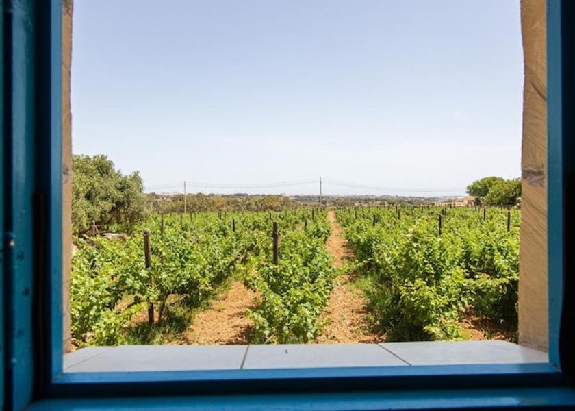 Zurrieq Interior Entrance