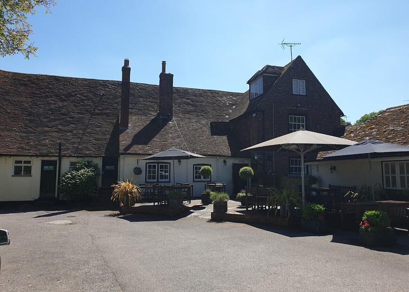 England Petersfield Garden