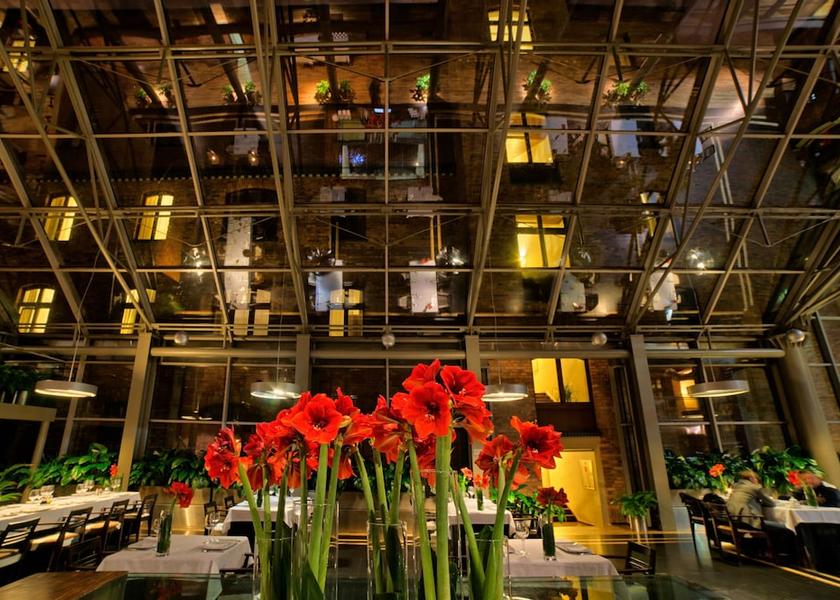 Silesian Voivodeship Katowice Restaurant