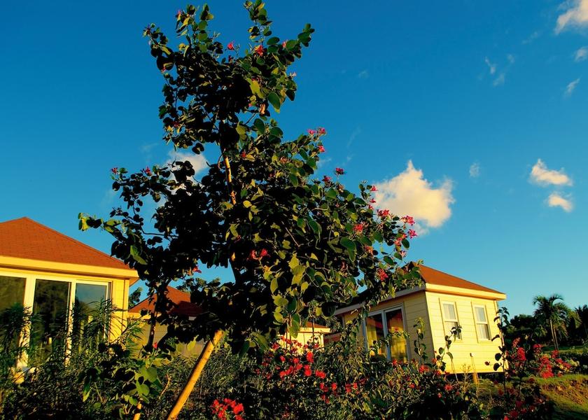 Saint Thomas Lowland Cotton Ground Spa