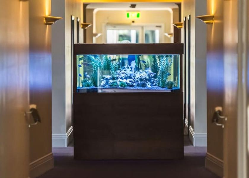 Victoria Traralgon Interior