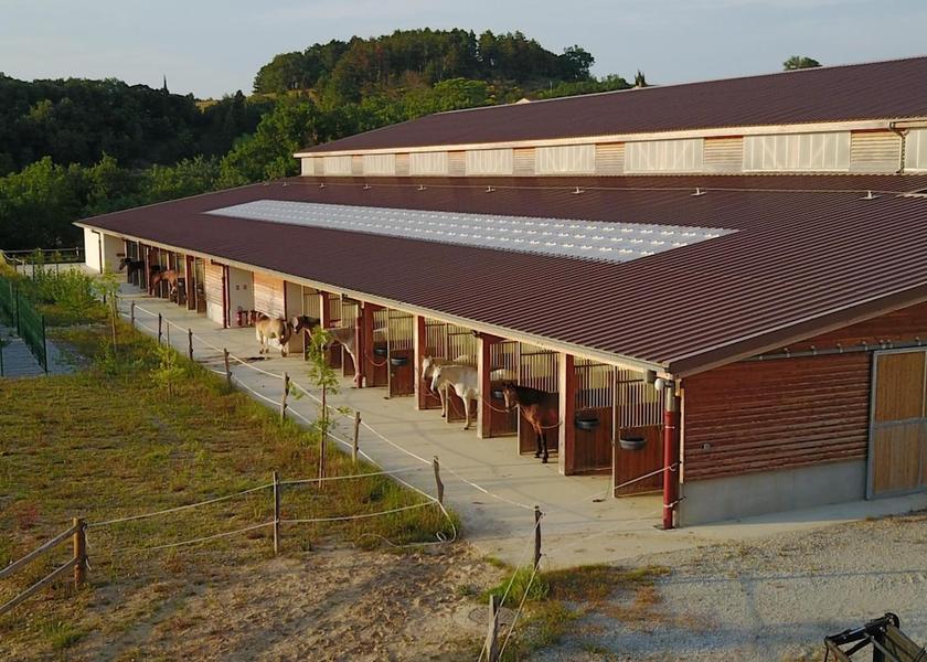Occitanie Leuc Exterior Detail