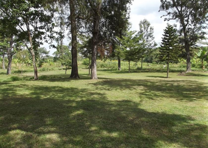 Arusha Region Arusha Property grounds