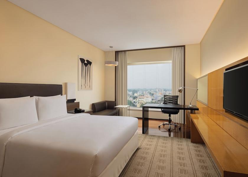 Chhattisgarh Bilaspur Room