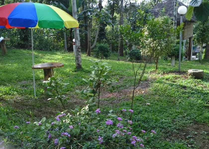 Kerala Chellarcovil Garden