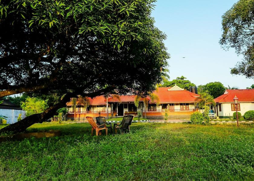 Kerala Alleppey Garden view