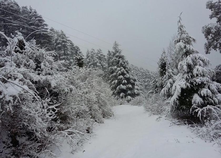 Uttarakhand Dhanaulti Hotel View