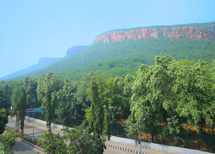 Andhra Pradesh Tirupati Hotel View