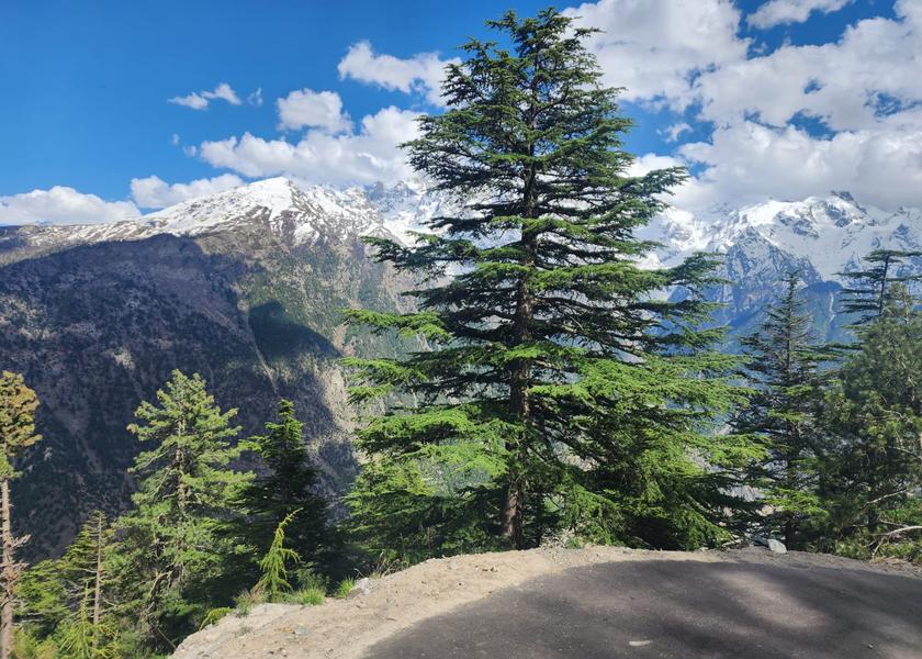 Himachal Pradesh Kalpa Hotel View