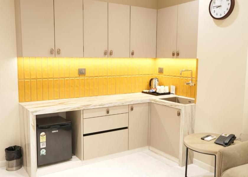 Rajasthan Nathdwara Deluxe Studio