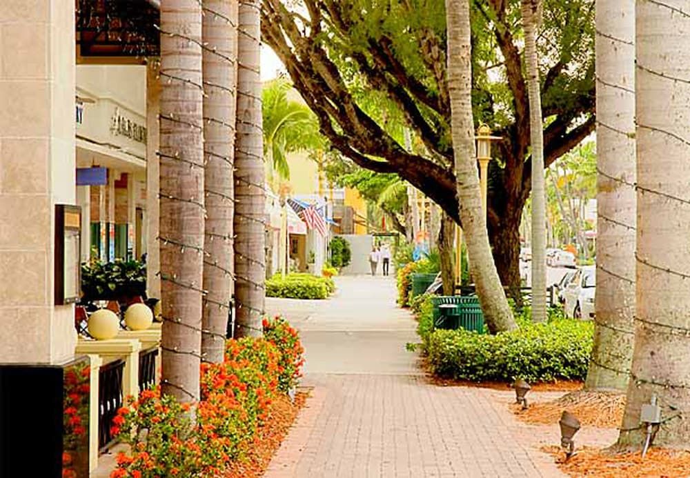 Florida Naples View from Property