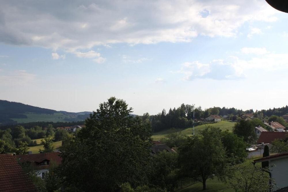 Freyung-Grafenau Neuschoenau View from Property