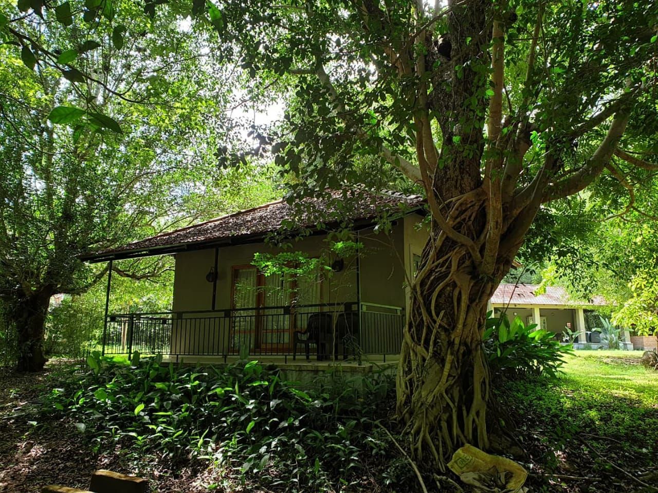 Karnataka Coorg Hotel Exterior