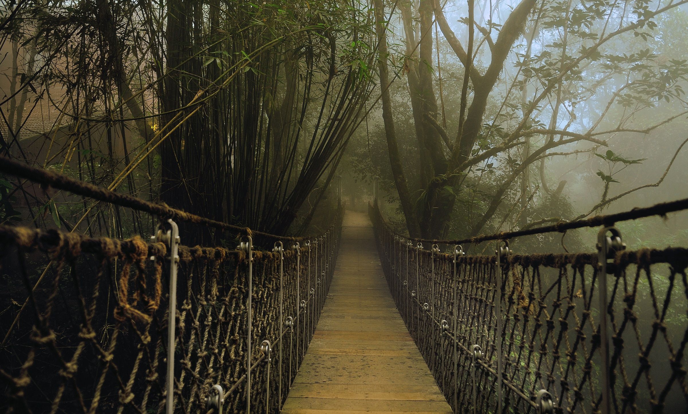 Kerala Wayanad Outdoors