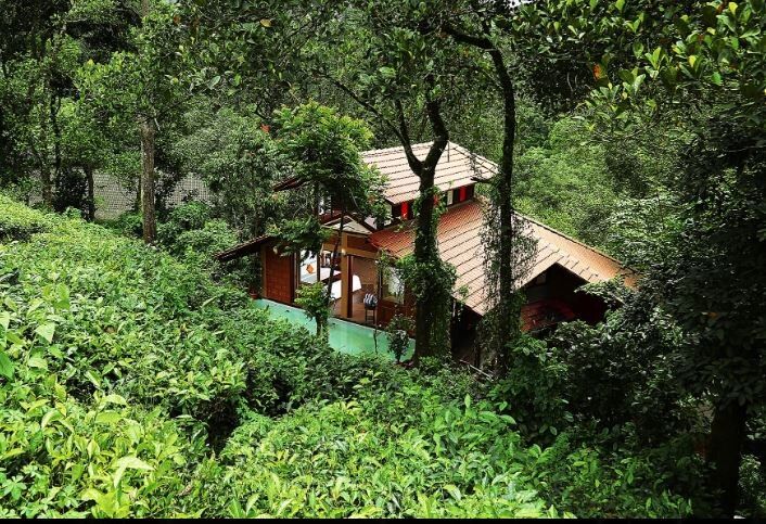 Kerala Wayanad Hotel Exterior