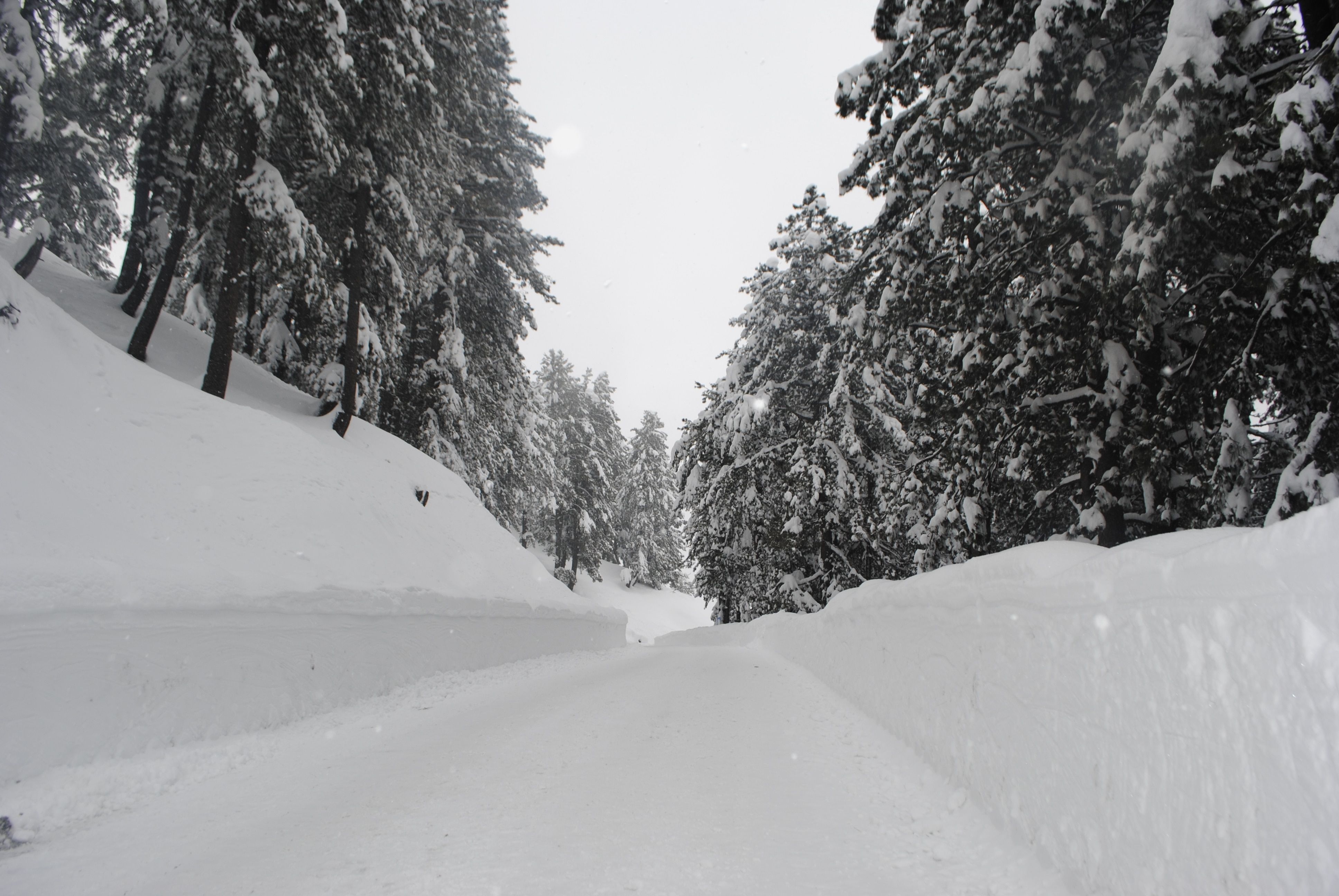 Jammu and Kashmir Gulmarg Hotel View