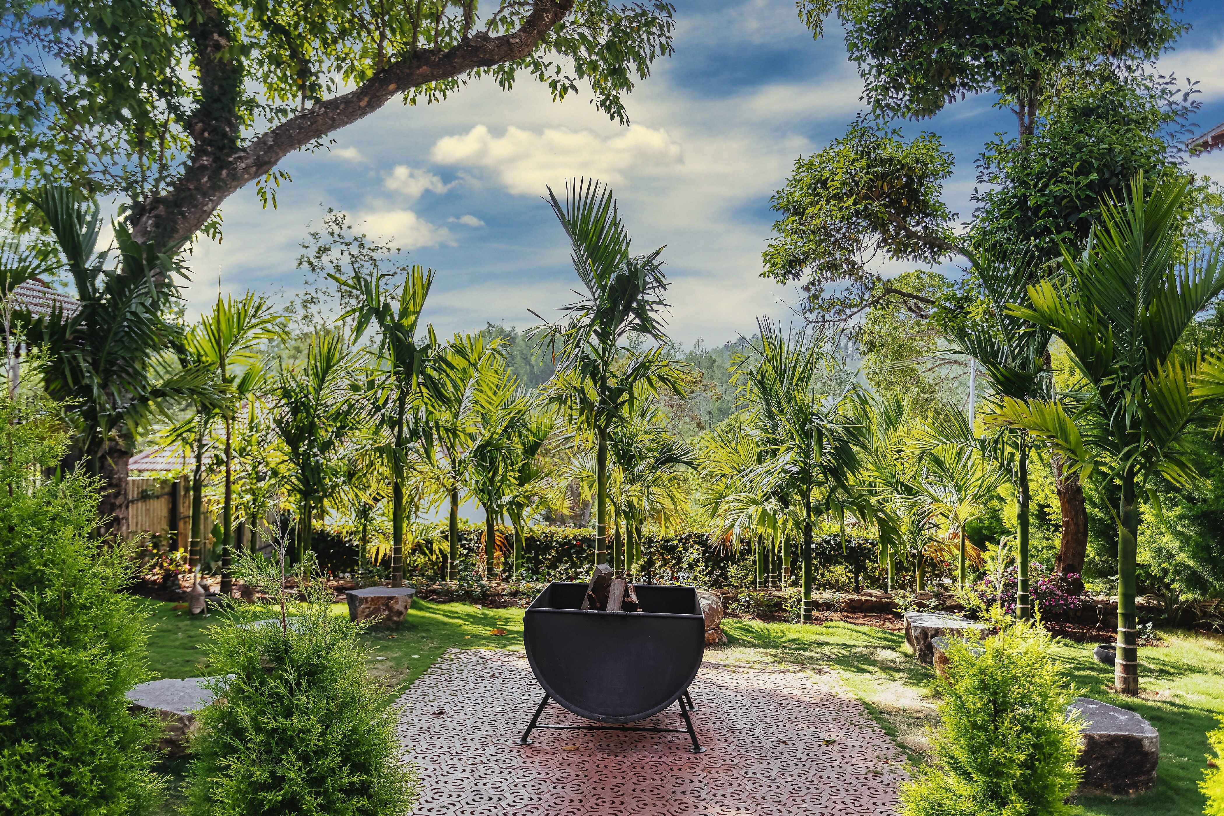 Tamil Nadu Yercaud Outdoors