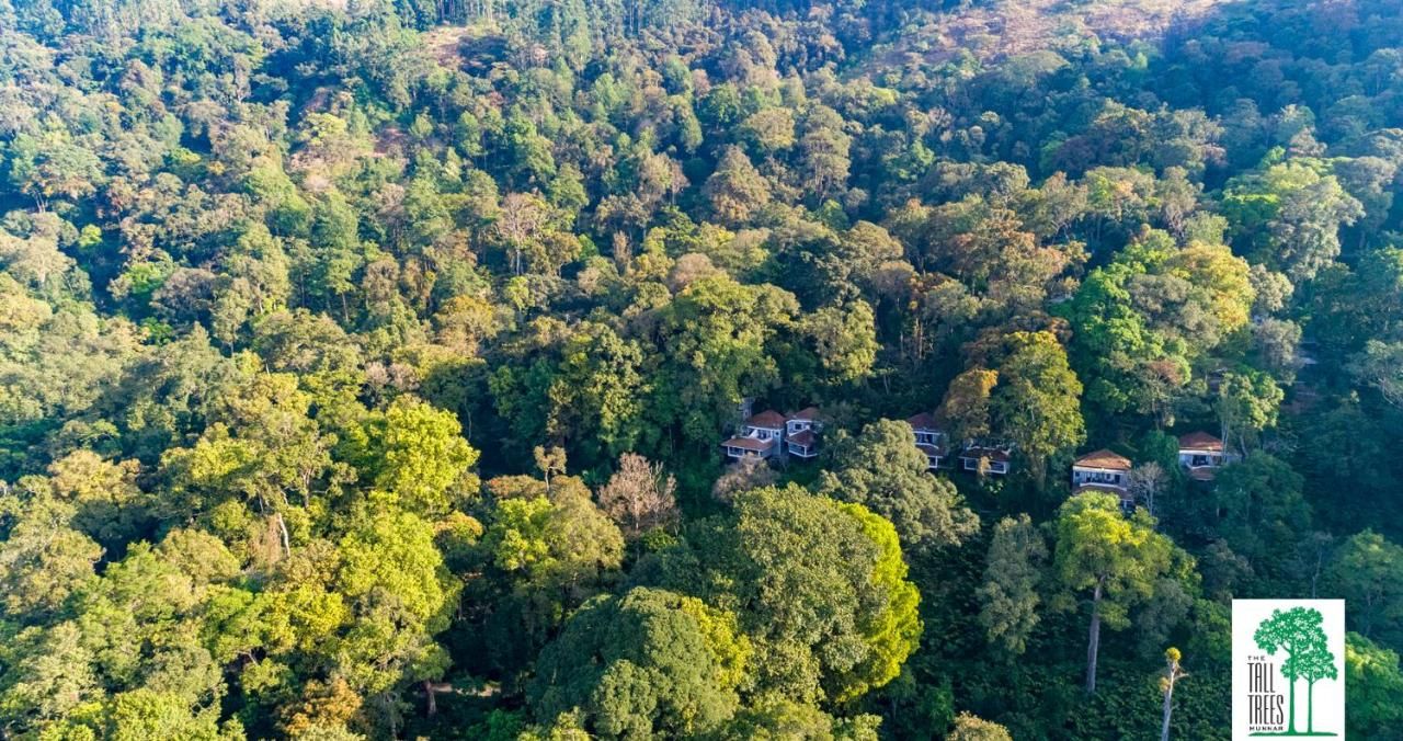 Kerala Munnar Hotel View