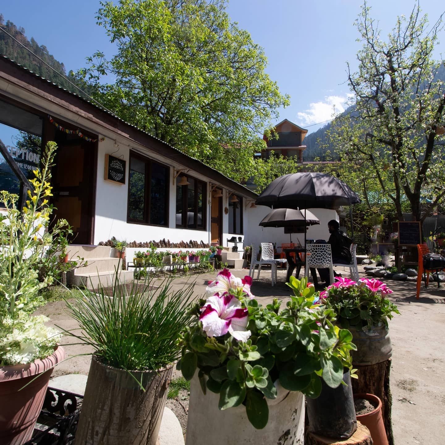 Himachal Pradesh Kasol Hotel Exterior