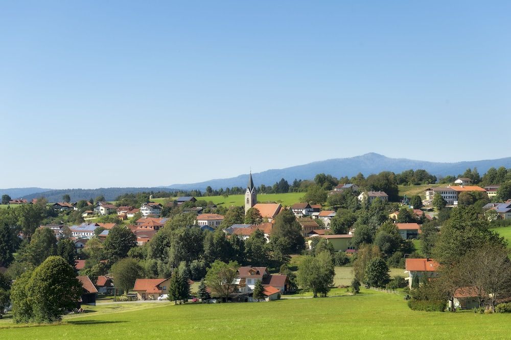 Freyung-Grafenau Neuschoenau Land View from Property