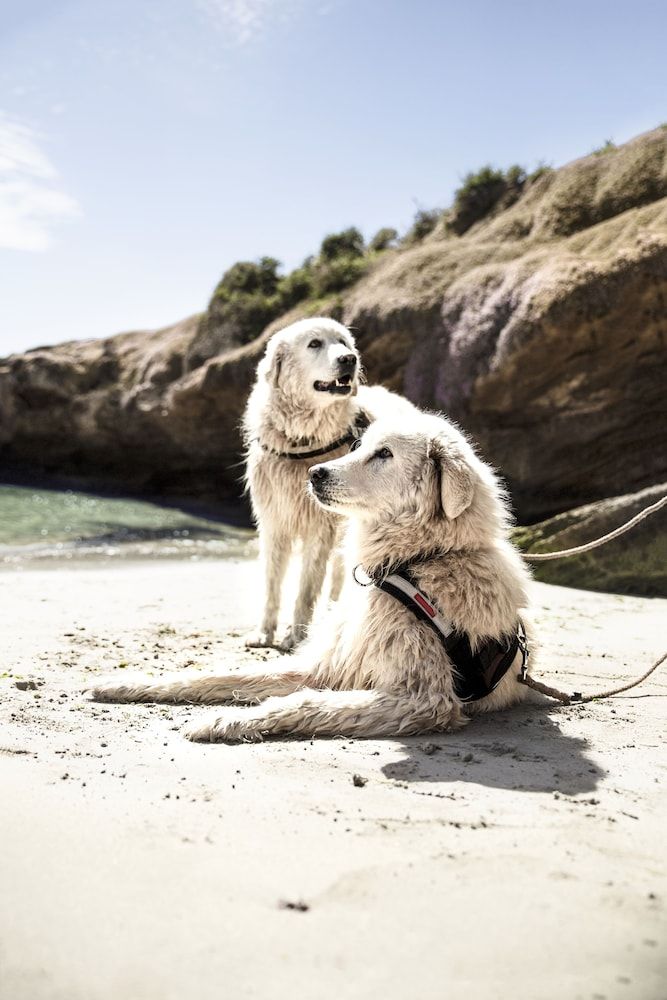 Victoria Warrnambool Beach