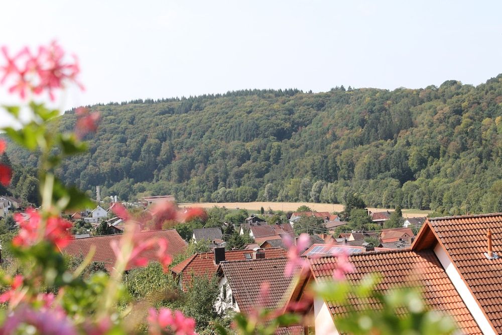 Baden-Wuerttemberg Wertheim View from Property