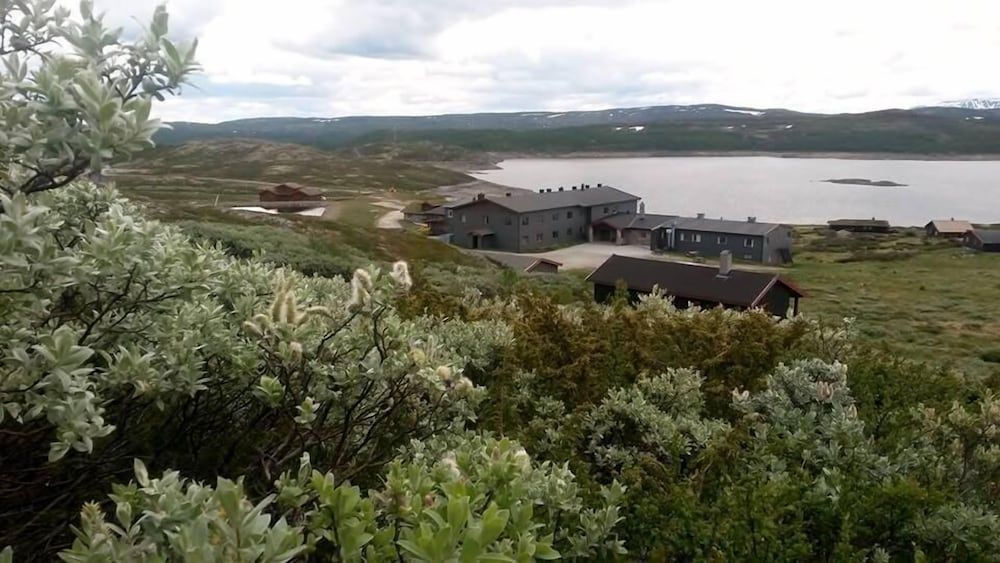 Buskerud (county) Al Aerial View