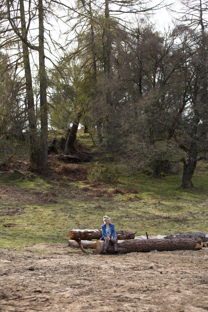 Scotland Strathpeffer Property Grounds