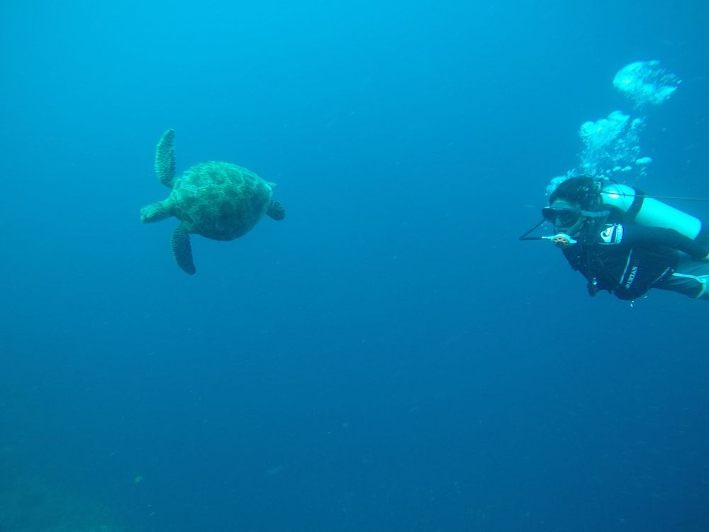  Moalboal Beach