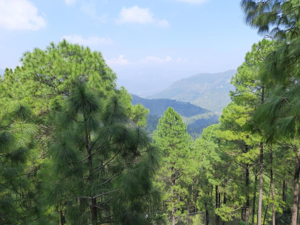 Uttarakhand Lansdowne Hotel View