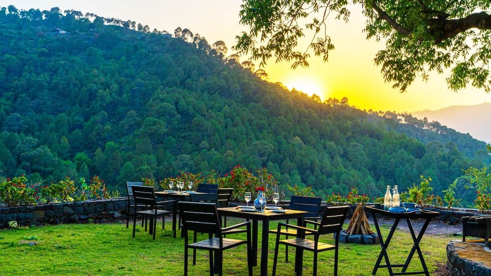 Himachal Pradesh Solan Barbeque