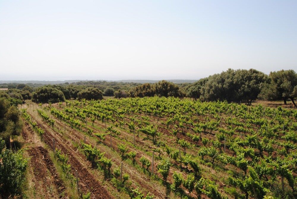 Sardinia Orosei Land View from Property