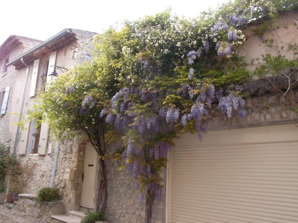 Provence - Alpes - Cote d'Azur Vaison-la-Romaine Facade